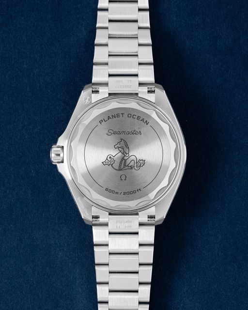 Omega Planet Ocean 217.30.42.21.01.002 Image 2